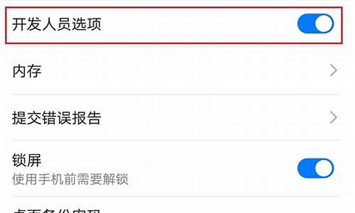 华为手机开发者选项在哪里?_华为手机开发者选项如何打开使用